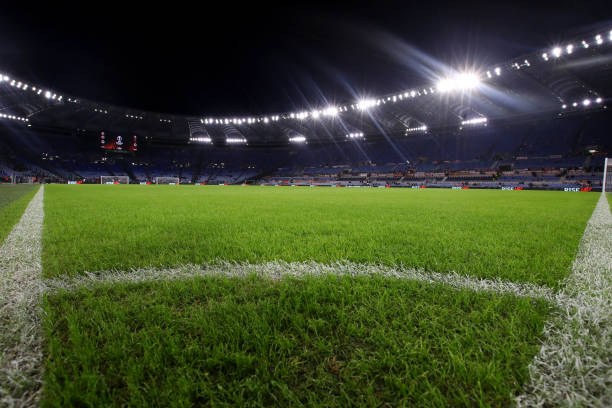 俨然成了球 俨然成了球