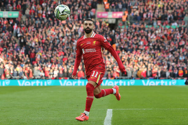 托雷的未来 托雷的未来