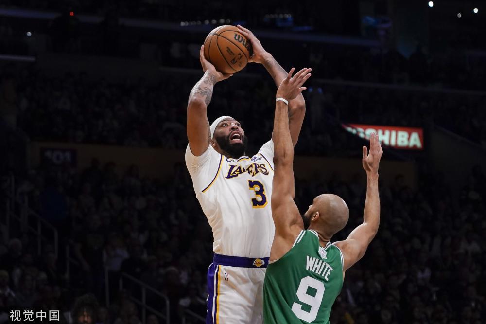 费和续约费 费和续约费